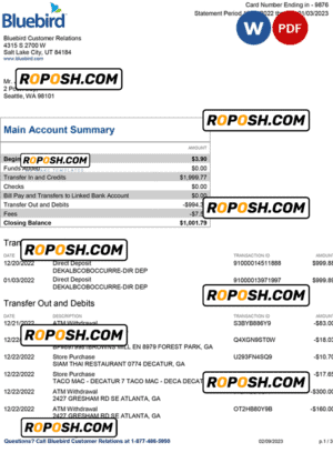 USA Bluebird bank statement Word and PDF template, 3 pages