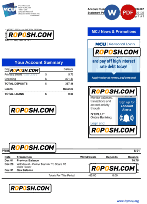 USA MCU bank statement Word and PDF template, 3 pages