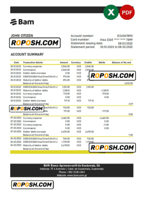 Guatemala Agromercantil bank statement Excel and PDF template