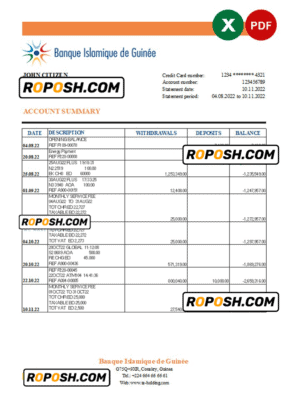 Guinea Banque Islamique de Guinée bank statement Excel and PDF template