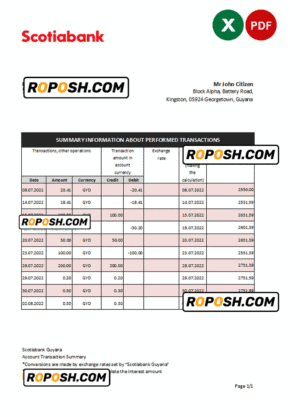 Guyana Bank of Nova Scotia statement Excel and PDF template