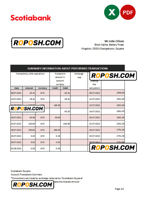 Guyana Bank of Nova Scotia statement Excel and PDF template
