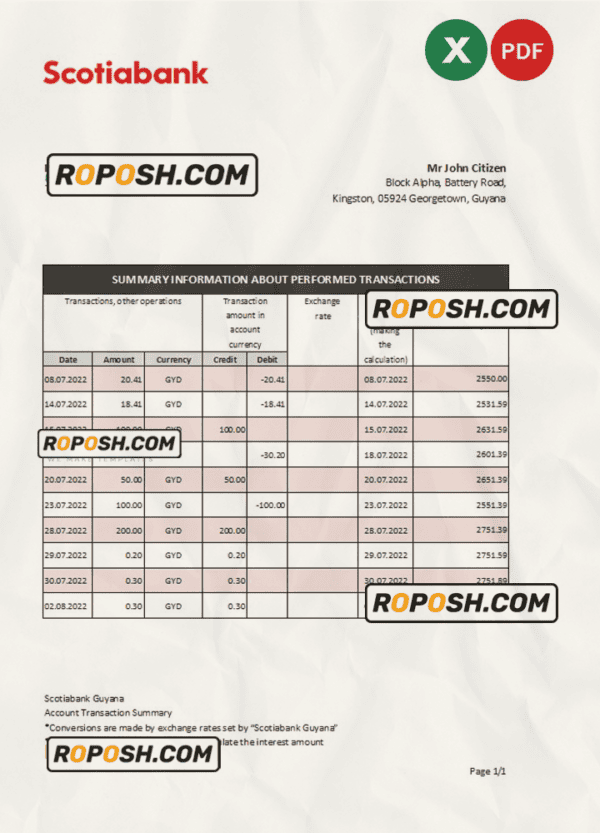 Guyana Bank of Nova Scotia statement Excel and PDF template