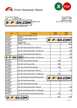 Hawaii First Hawaiian Bank statement Excel and PDF template