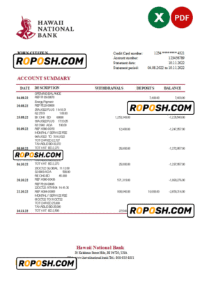 Hawaii National Bank statement Excel and PDF template