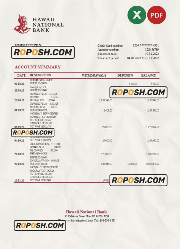 Hawaii National Bank statement Excel and PDF template
