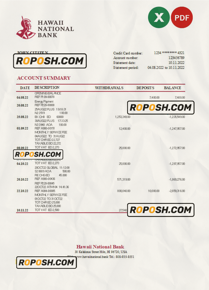 Hawaii National Bank statement Excel and PDF template roposh