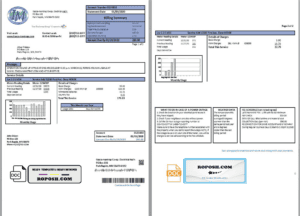 USA Minnesota Itasca-Mantrap electricity utility bill template in Word and PDF format (2 pages)