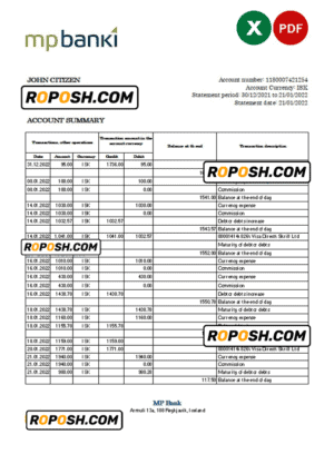 Iceland MP bank statement Excel and PDF template