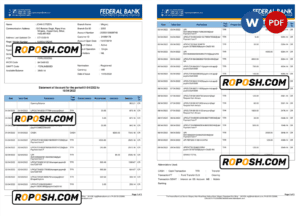 India Federal bank account statement, Word and PDF template, 3 pages
