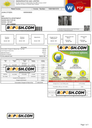 India INDRAPRASTHA GAS LIMITED utility bill template in Word and PDF format
