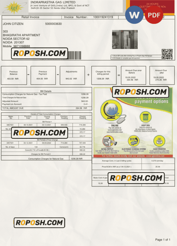 India INDRAPRASTHA GAS LIMITED utility bill template in Word and PDF format