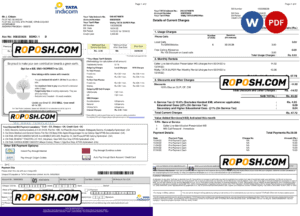 India Tata Indicom mobile utility bill template in Word and PDF format, 2 pages