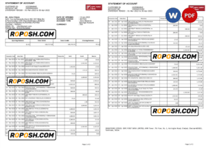 India IDFC First bank statement Word and PDF template, 2 pages