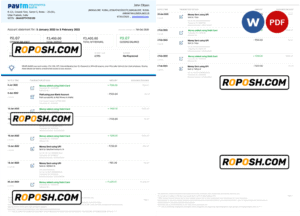 India Paytm Payments bank statement Word and PDF template, 2 pages