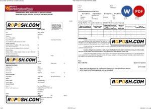 India Punjab National Bank statement Word and PDF template, 2 pages