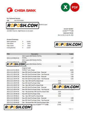 Japan Chiba bank statement Excel and PDF template