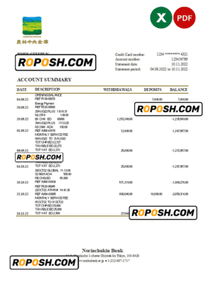 Japan Norinchukin bank statement Excel and PDF template