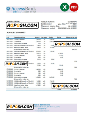 Liberia Access Bank statement Excel and PDF template
