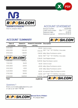 Malawi National Bank of Malawi bank statement Excel and PDF template