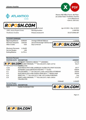 Namibia Atlantico bank statement Excel and PDF template