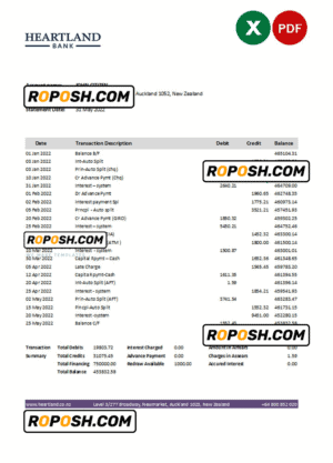 New Zealand Heartland bank statement Excel and PDF template