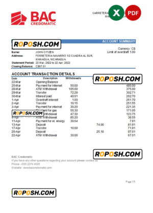 Nicaragua BAC Credomatic bank statement Excel and PDF template