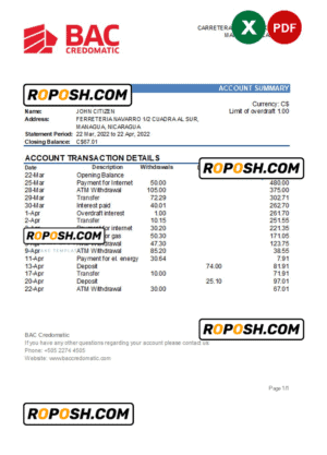 Nicaragua BAC Credomatic bank statement Excel and PDF template
