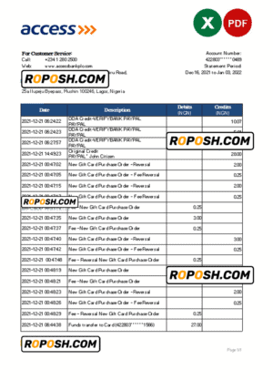 Nigeria Access bank statement Excel and PDF template