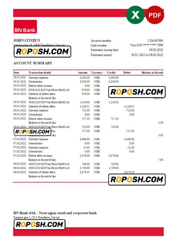 Norway BN Bank statement Excel and PDF template