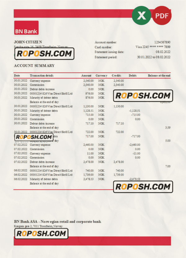 Norway BN Bank statement Excel and PDF template