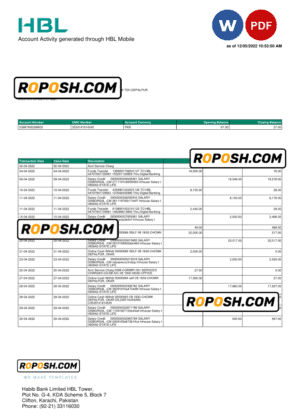 Pakistan HBL bank statement, Word and PDF template