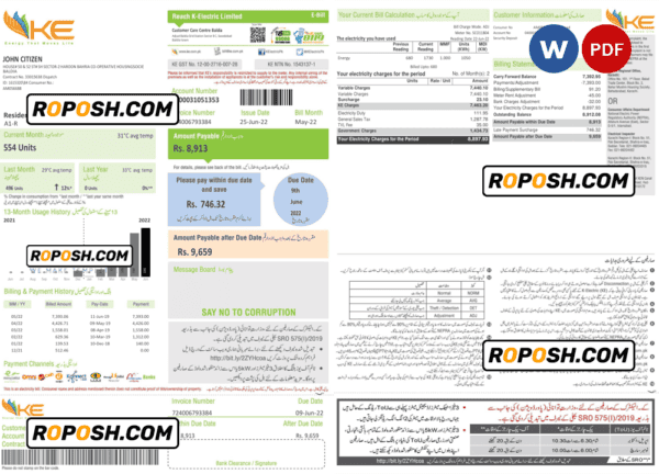 Pakistan KE Electricity bill template in Word and PDF format, 2 pages