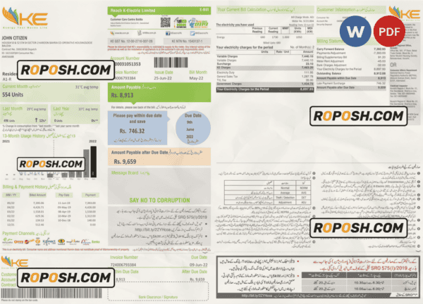 Pakistan KE Electricity bill template in Word and PDF format, 2 pages