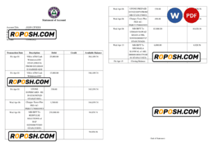 Pakistan Meezan bank statement Word and PDF template, 2 pages