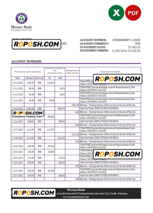 Pakistan Meezan bank statement Excel and PDF template