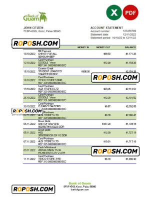 Palau Bank of Guam Bank statement Excel and PDF template