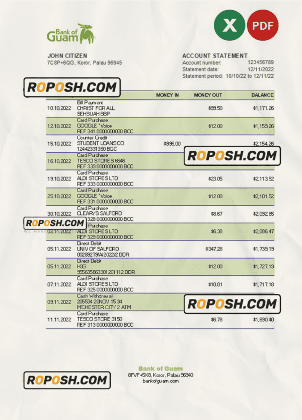 Palau Bank of Guam Bank statement Excel and PDF template