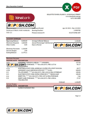 Papua New Guinea Kina Securities Limites bank statement Excel and PDF template
