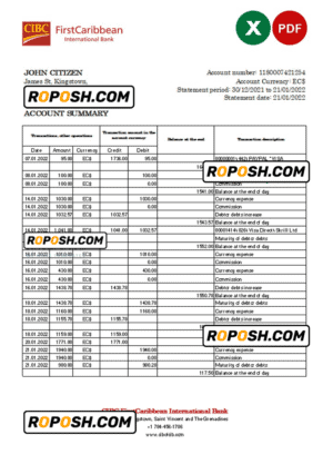 Saint Vincent and The Grenadines First Caribbean International bank statement, Excel and PDF template, version 2