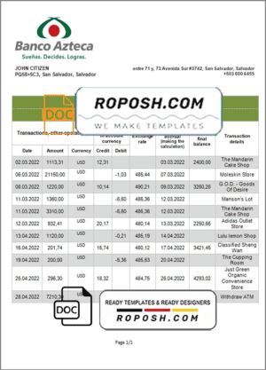 South Africa Discovery bank statement template in Word and PDF format