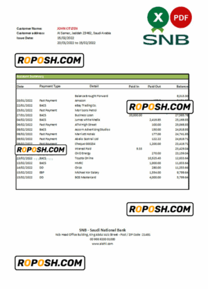 Saudi Arabia SNB bank statement, Excel and PDF template