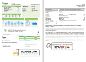 USA Ameren Missouri electricity utility bill template in Word and PDF format (2 pages)