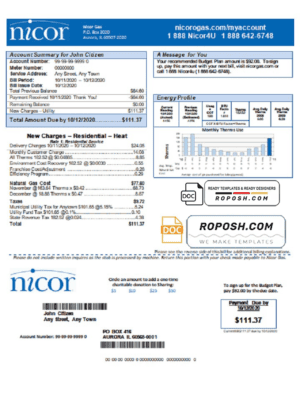 USA Illinois Nicor gas utility bill template in Word and PDF format