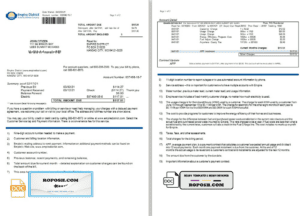 USA Empire District Electric Company utility bill template in Word and PDF format (2 pages)