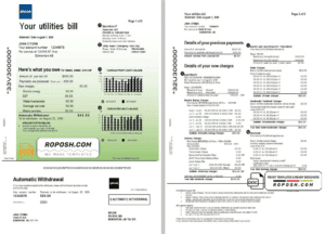 Canada Epcor electricity utility bill template in Word and PDF format, 3 pages