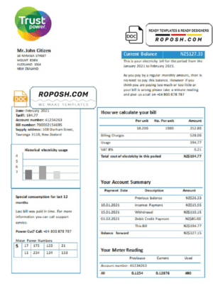 New Zealand Trustpower utility bill template in Word and PDF format