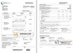 Singapore SP Group utility bill template in Word and PDF format (2 pages)