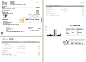 USA DTE Energy utility bill template in Word and PDF format (2 pages)
