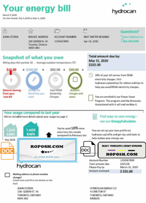USA Ontario Hydrocan electricity utility bill template in Word and PDF format